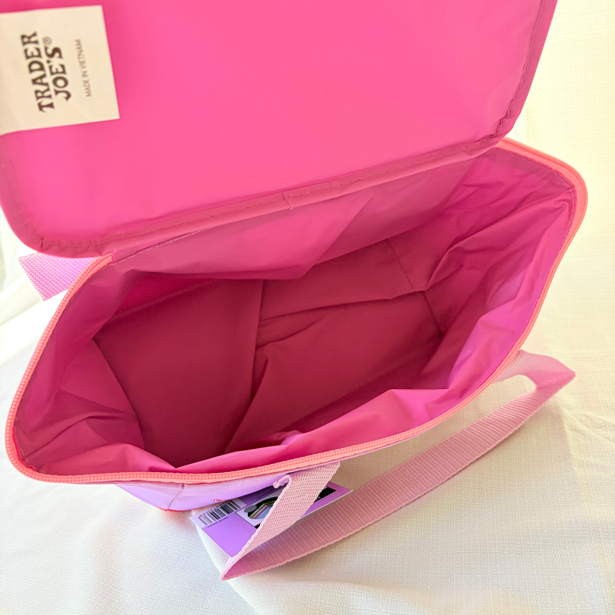 Trader Joe's Mini Insulated Cooler Bag