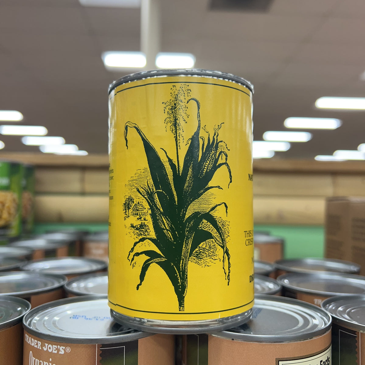 Trader Joe's Whole Kernel Corn, 15 oz product image 4