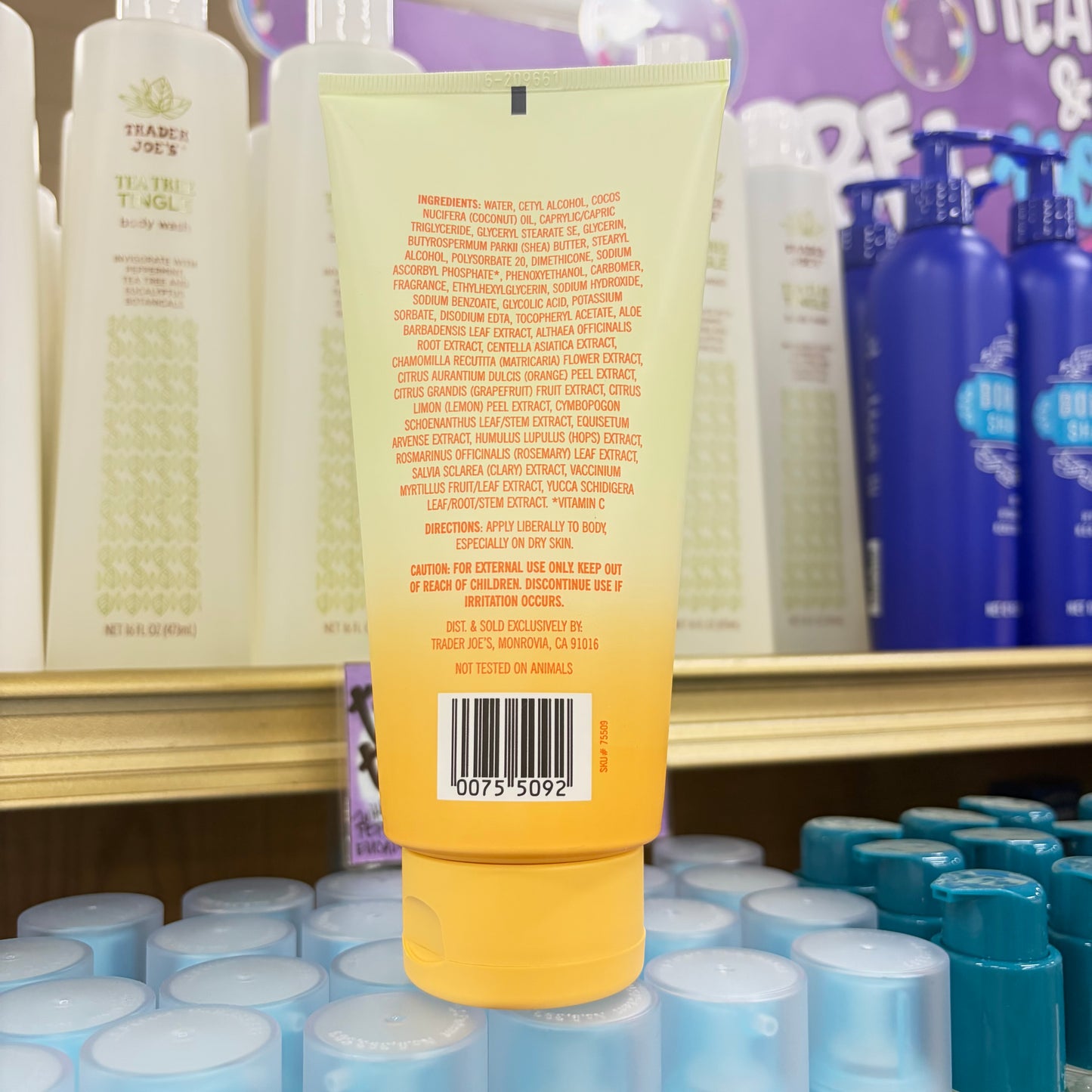 Trader Joe's Vitamin C Firming Body Butter 8 oz (227g)