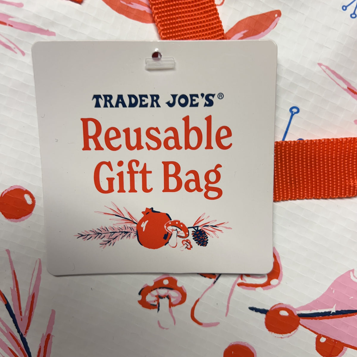Trader Joe's Reusable Gift Bag for All Seasons — additional bag detail