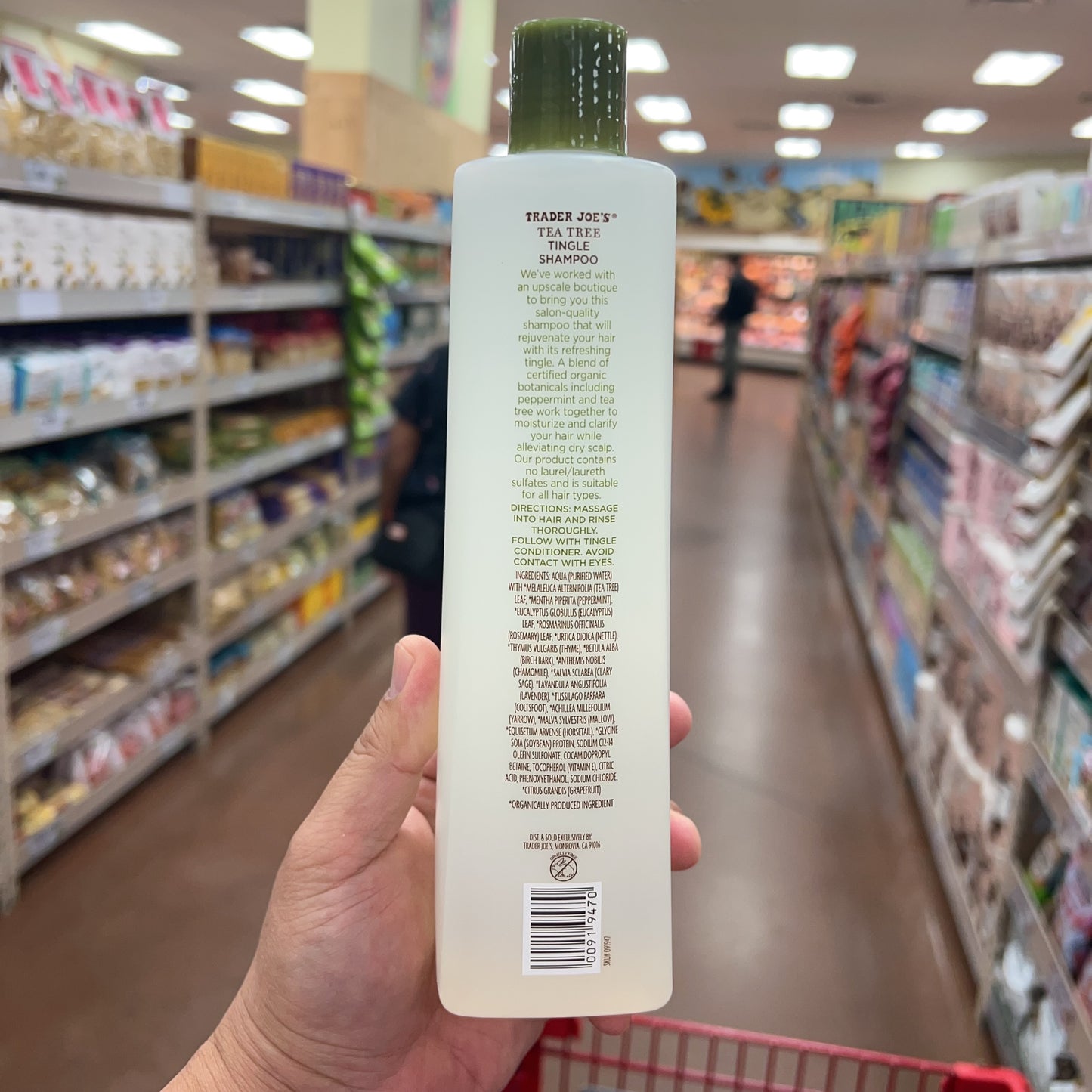 Trader Joe's Tea Tree Tingle Shampoo