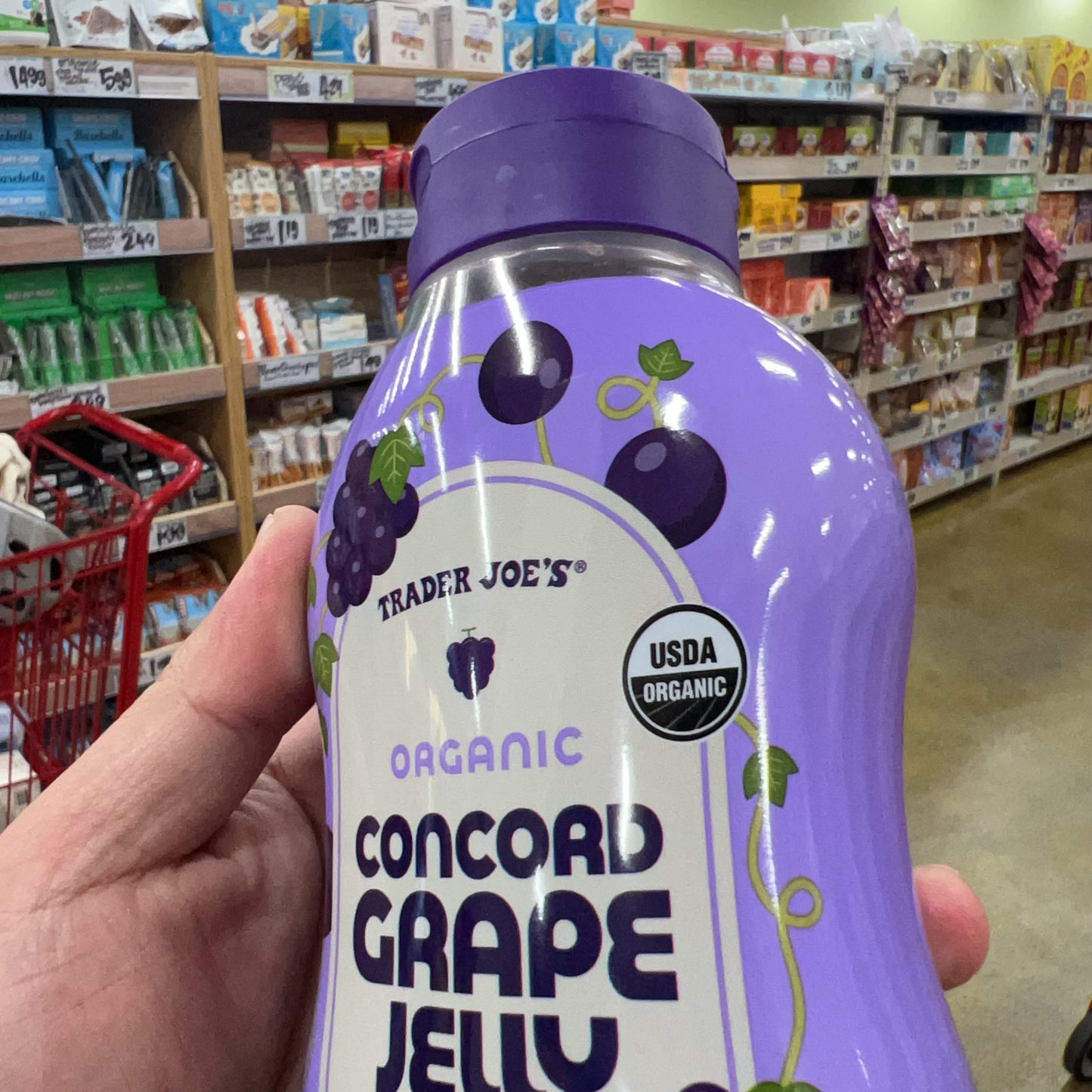 Trader Joe's Organic Concord Grape Jelly USDA Organic 20 oz Squeezable