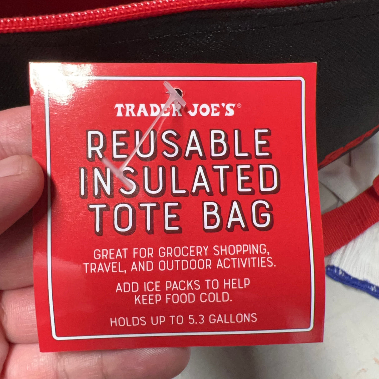 Trader Joe's Red & Black Reusable Insulated Tote Bag — bag detail view