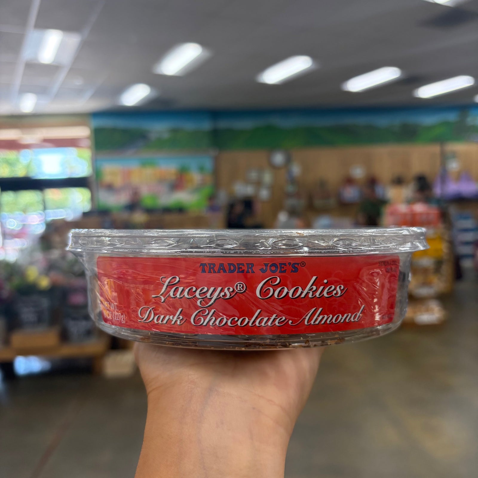 Trader Joe's Laceys Cookies Dark Chocolate Almond 8 oz tub with thin lacy cookies and dark chocolate coating