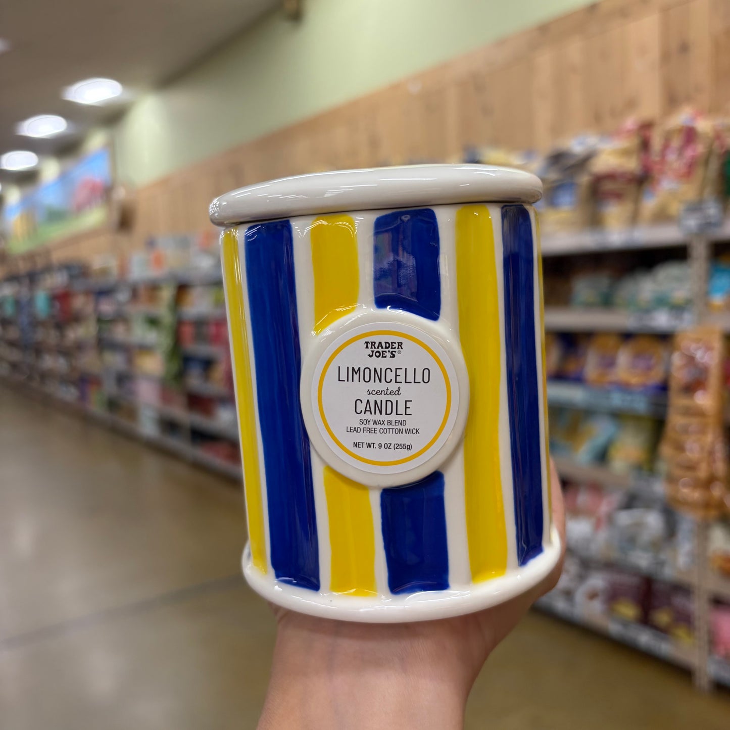Trader Joe's Limoncello Scented Candle, 9 oz (255g)