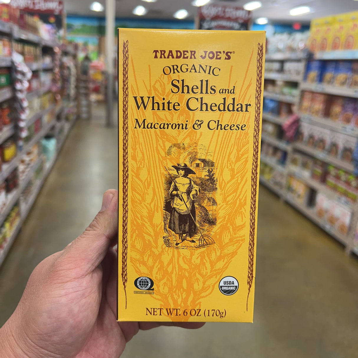 Trader Joe's Organic Shells and White Cheddar Macaroni & Cheese 6 oz product image