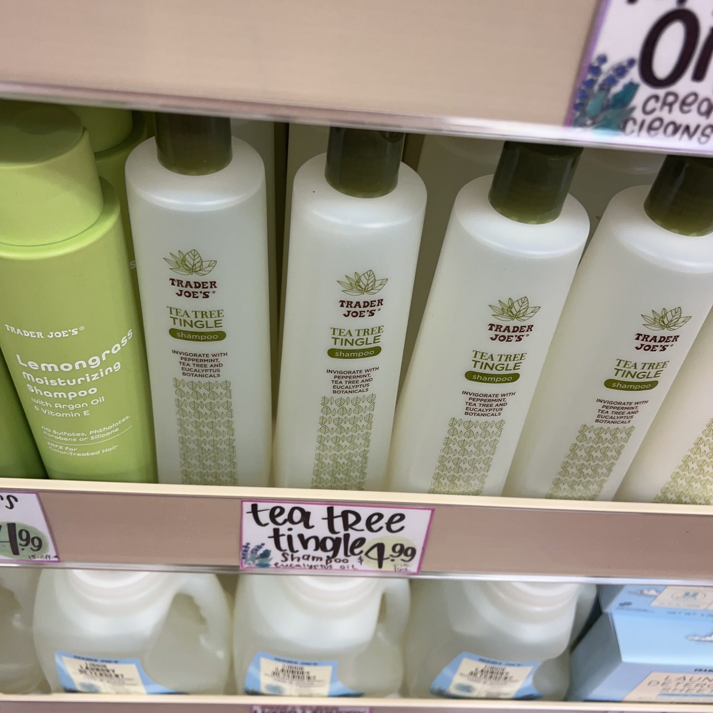 Trader Joe's Tea Tree Tingle Conditioner