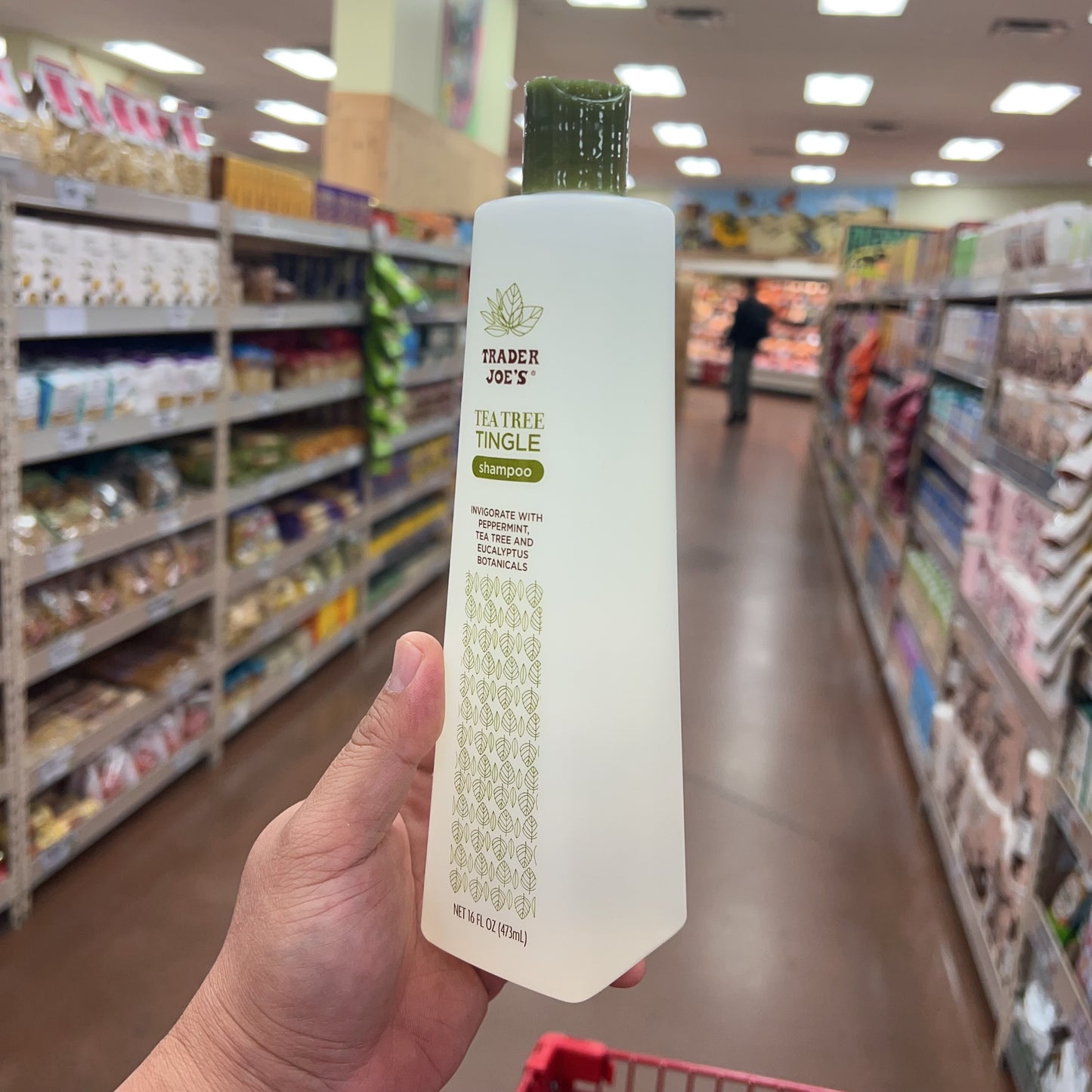 Trader Joe's Tea Tree Tingle Shampoo