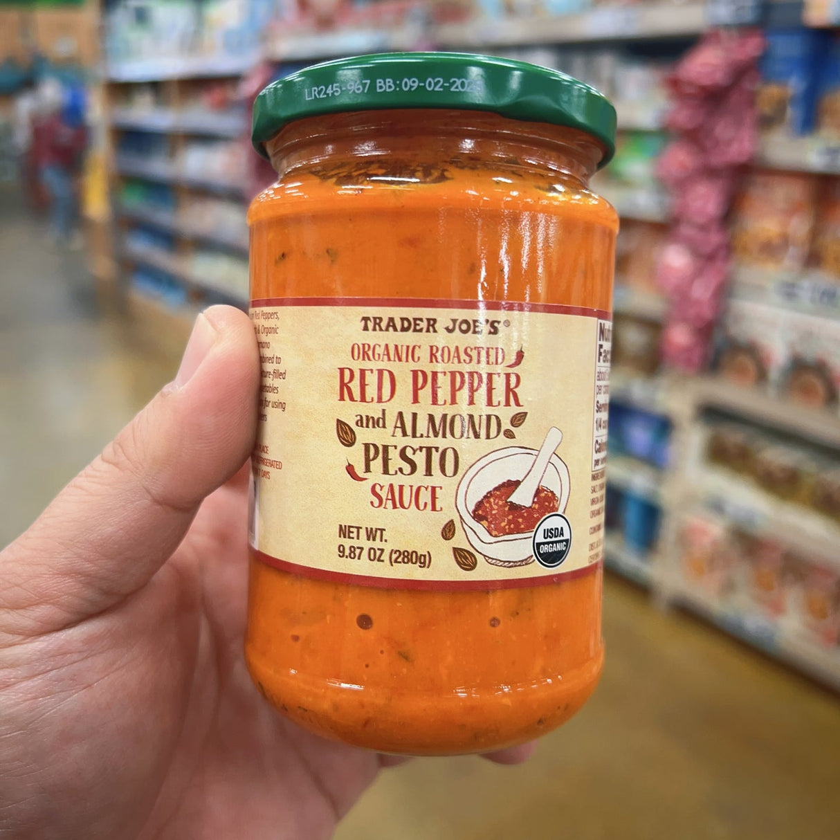 Trader Joe's Organic Roasted Red Pepper & Almond Pesto Sauce 9.87 oz (280g) | USDA Organic | Made in Italy