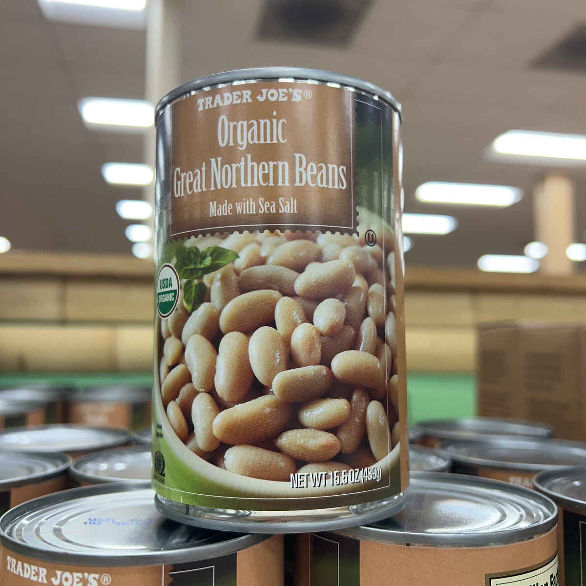 Trader Joe's Organic Great Northern Beans, 15.5 oz product image 5