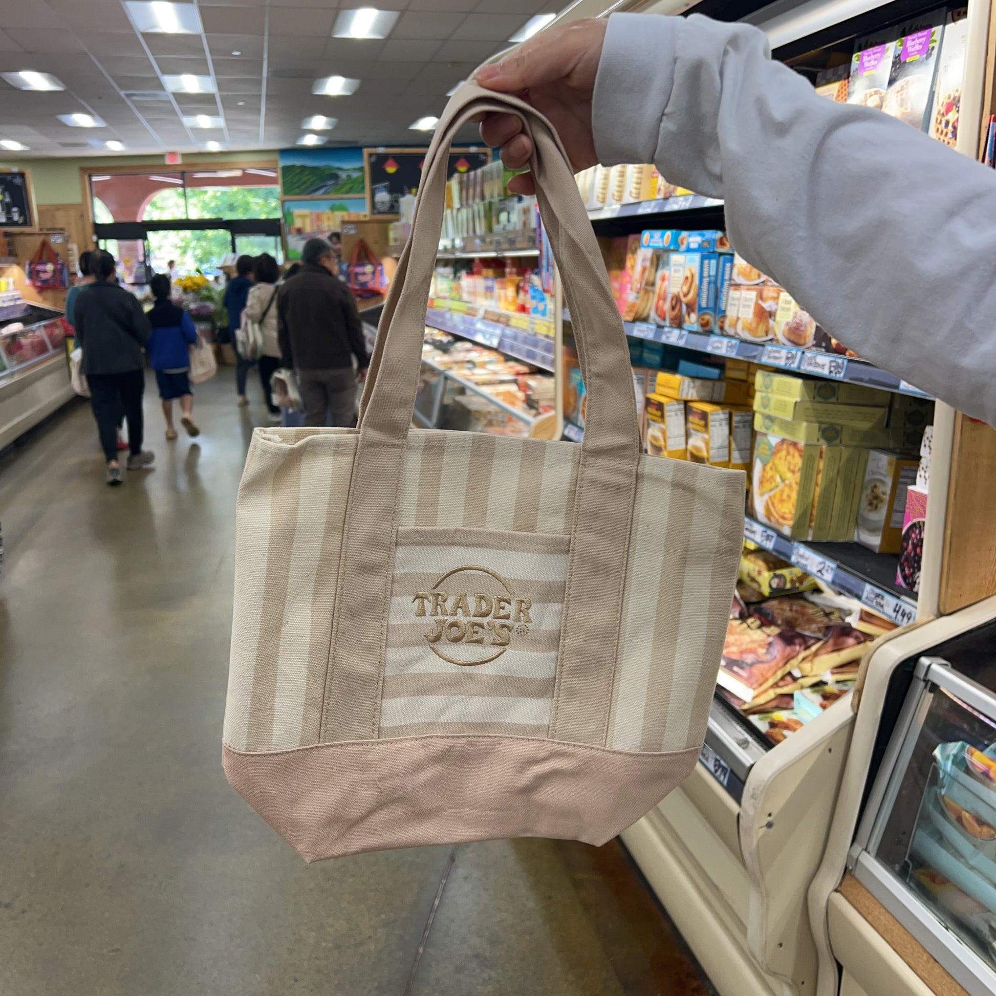 Trader Joe's Mini Pastel Striped Canvas Tote Bag (Neutral Beige)