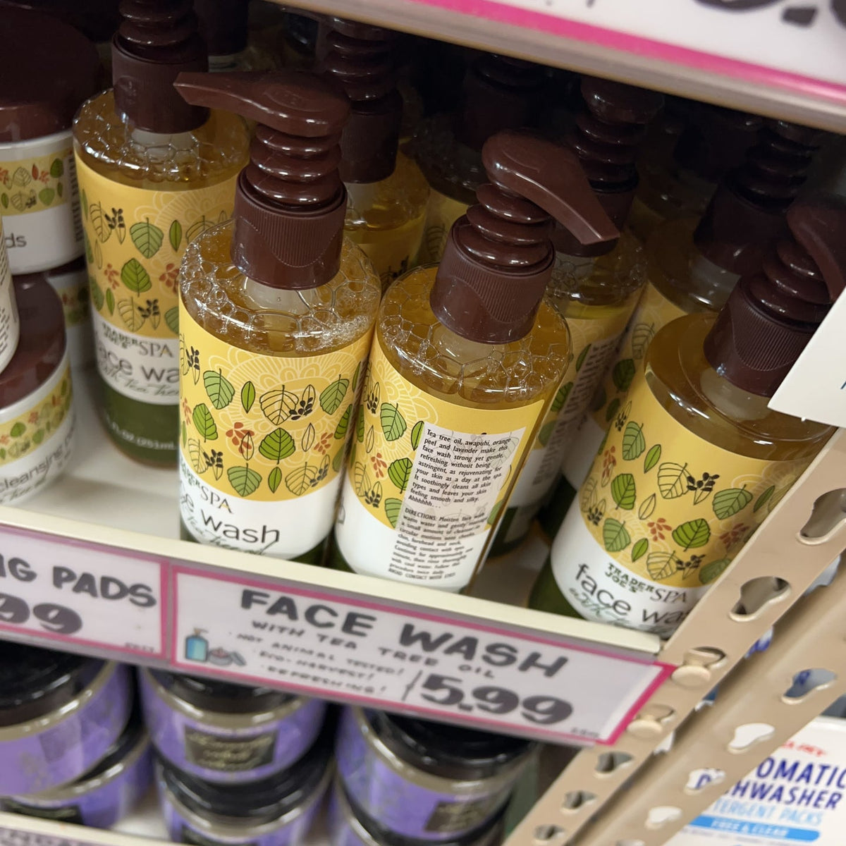 Trader Joe's SPA Tea Tree Oil Face Wash Castile Soap 8.5 fl oz