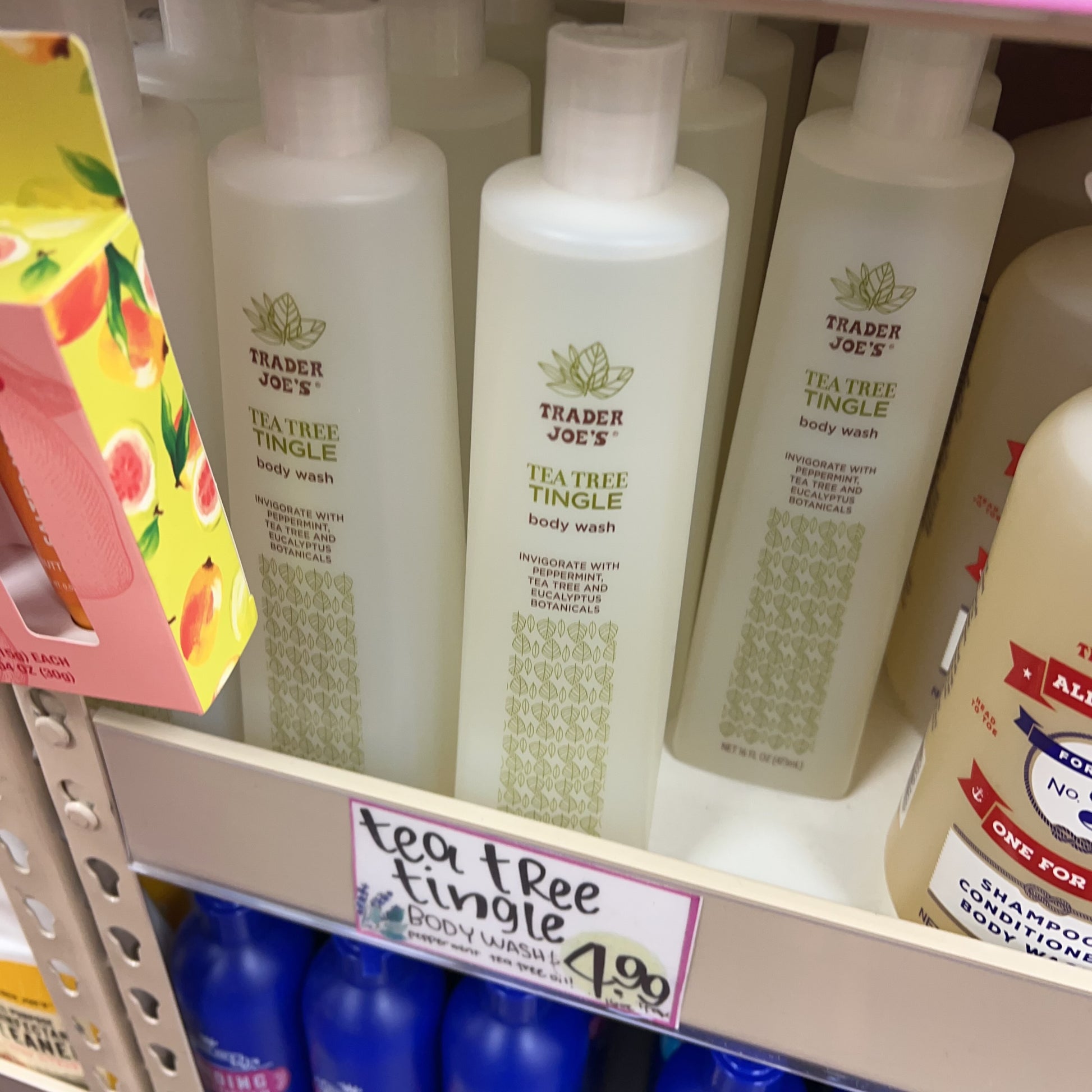 Trader Joe's Tea Tree Tingle Body Wash