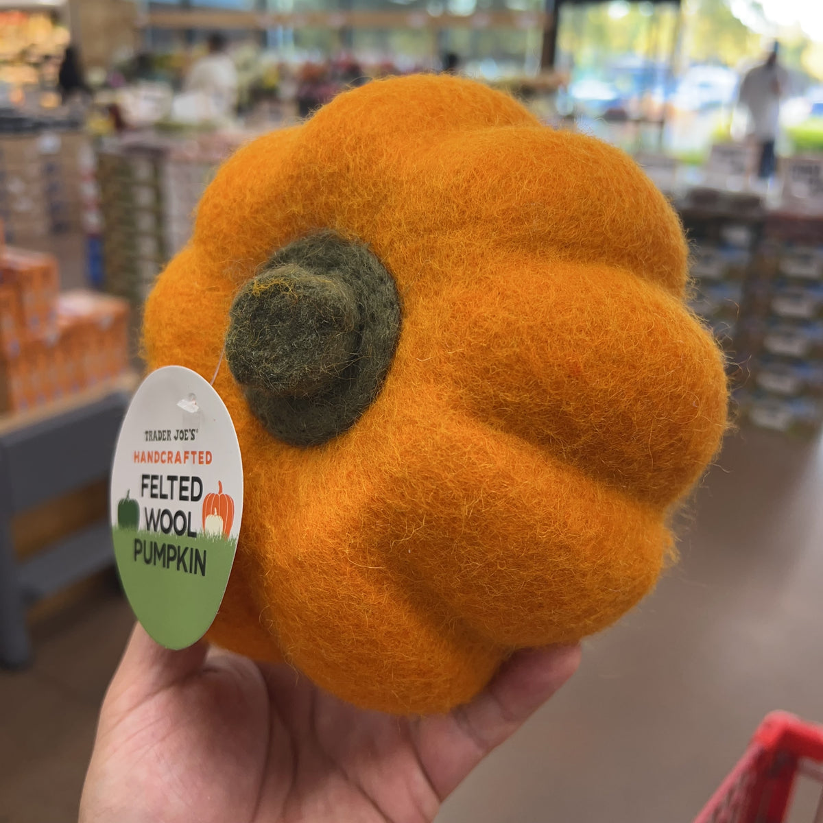 Trader Joe's Handcrafted Felted Wool Pumpkin product image 6