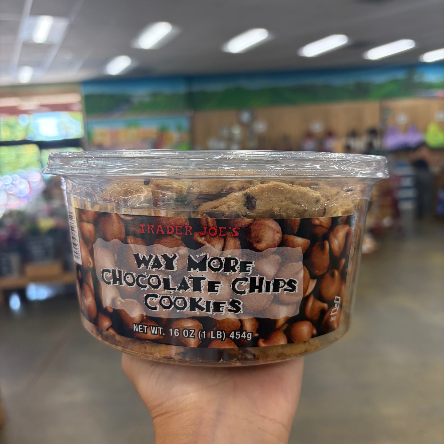 Trader Joe's Way More Chocolate Chips Cookies 16 oz (454g)
