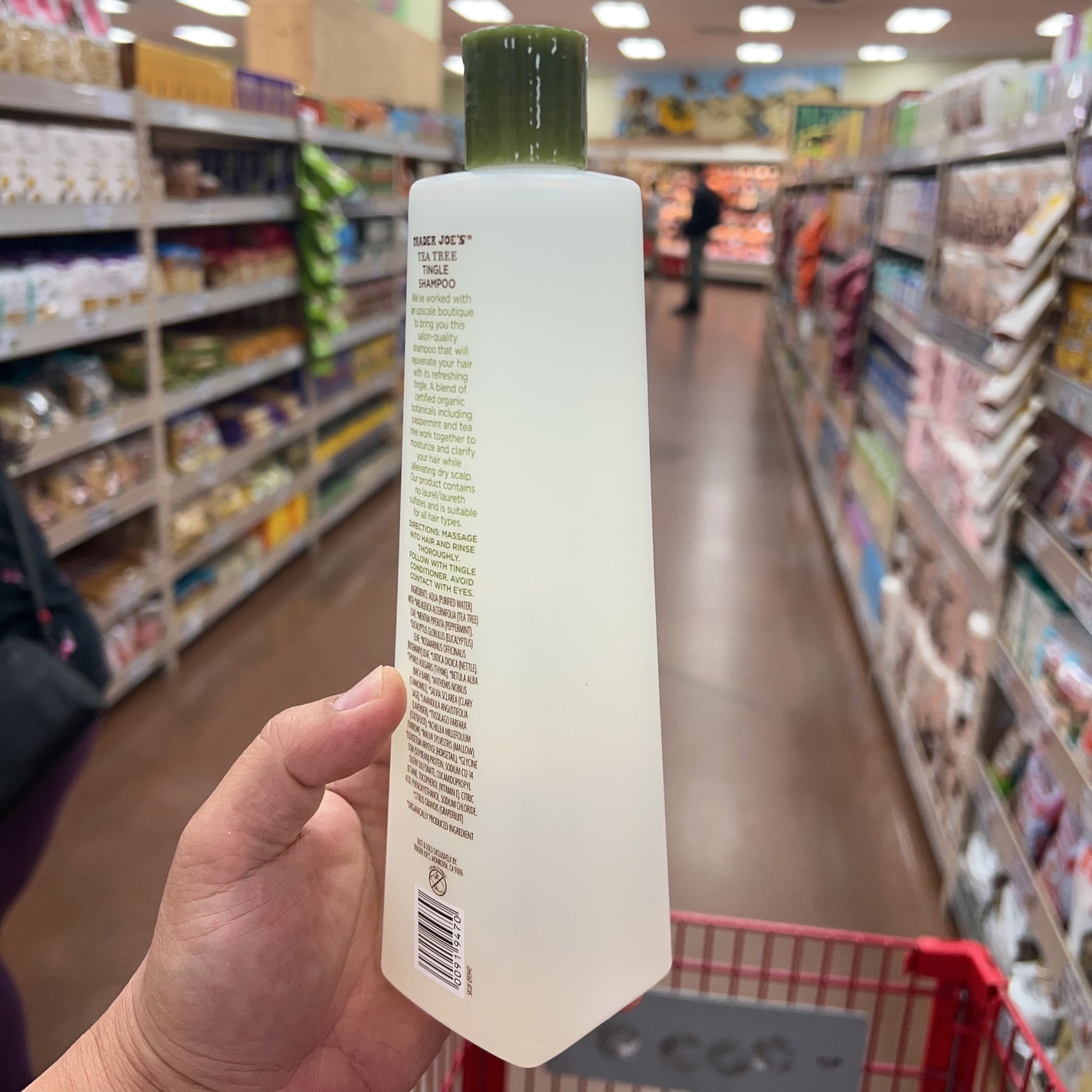 Trader Joe's Tea Tree Tingle Shampoo