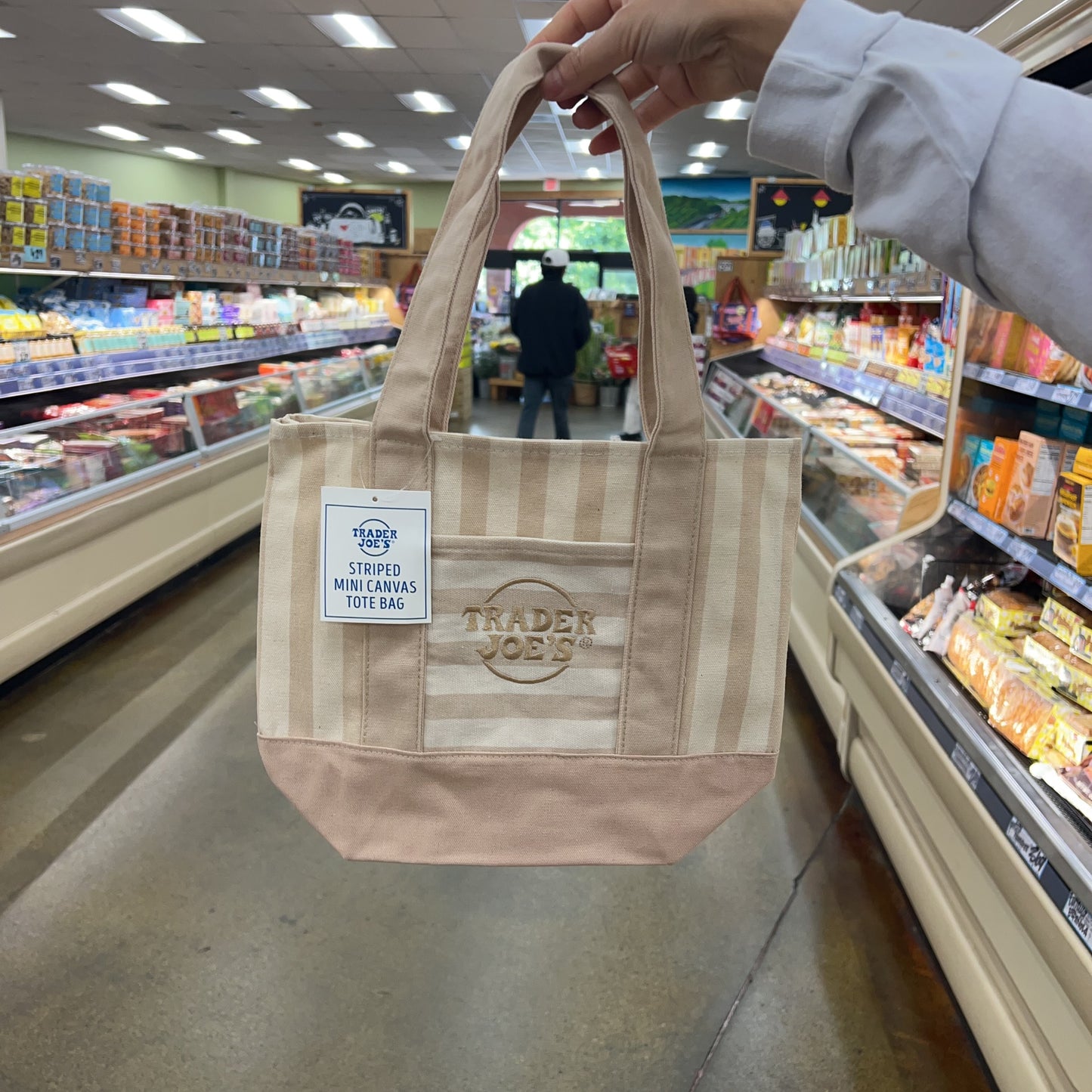 Trader Joe's Mini Pastel Striped Canvas Tote Bag (Neutral Beige)
