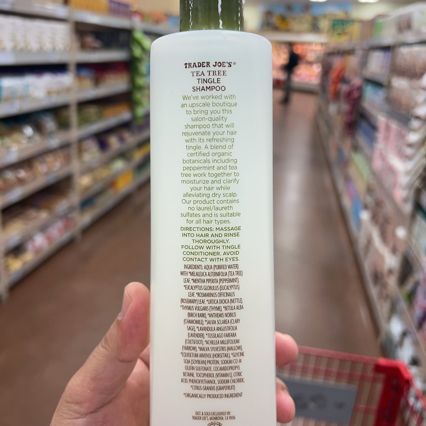 Trader Joe's Tea Tree Tingle Shampoo